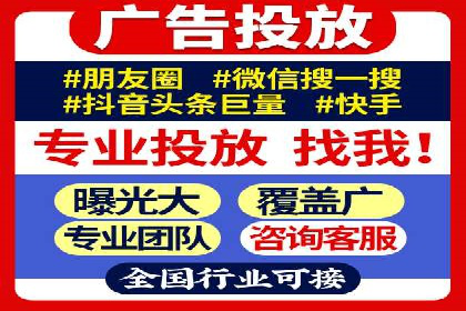 知名SEM服务公司成功案例分享